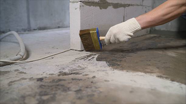 24/7 Emergency Wet Basement Repair experts in Bybee, TN
